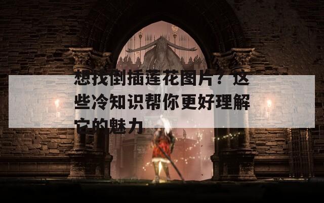 想找倒插莲花图片？这些冷知识帮你更好理解它的魅力
