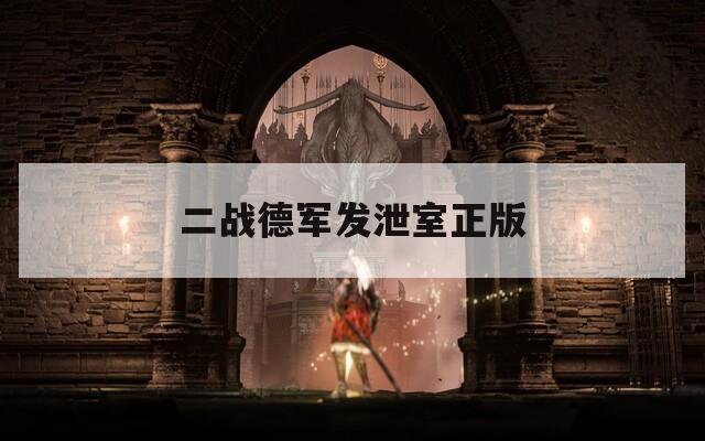 二战德军发泄室正版
