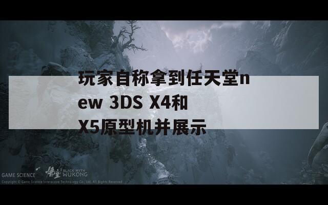 玩家自称拿到任天堂new 3DS X4和X5原型机并展示